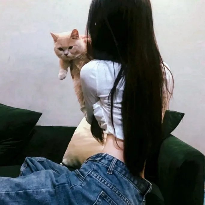 万家春